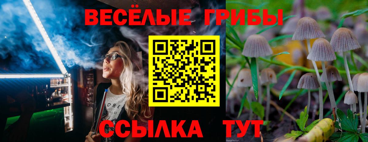 Фролово  Галлюциногенные грибы Psilocybine cubensis  Вход с VPN 