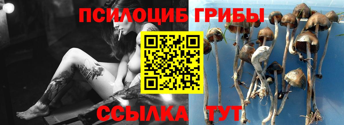 Галлюциногенные грибы прущие грибы Фролово